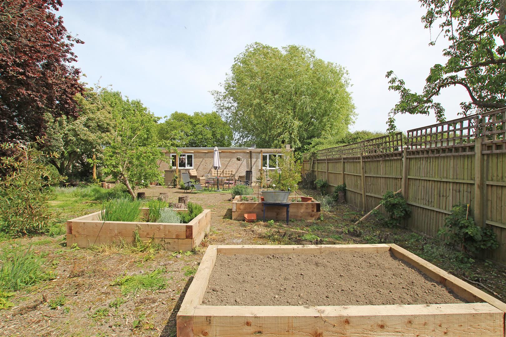 NH - Vegetable garden 2.jpg
